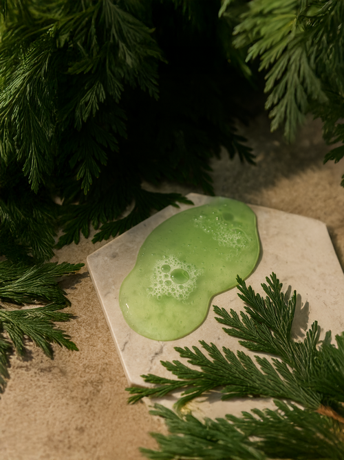 Green slime-like substance on a stone surface with green leaves in the background Suvéra Gloss Shampoo in smoky green vetiver — pale green foam swirling on stone with cedar sprigs, natural vegan self care skincare, sulfate free